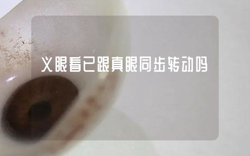 义眼看已跟真眼同步转动吗