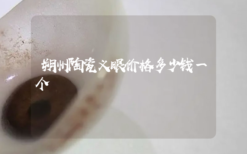 朔州陶瓷义眼价格多少钱一个