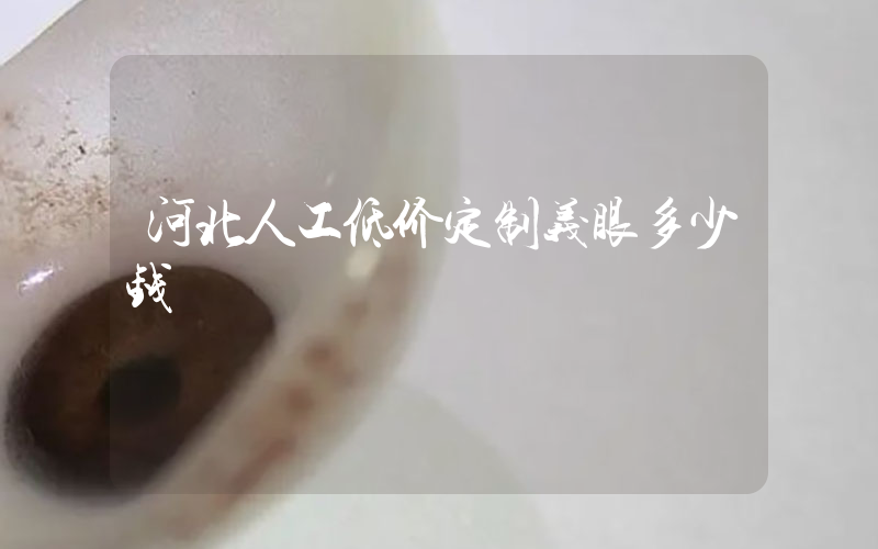 河北人工低价定制义眼多少钱