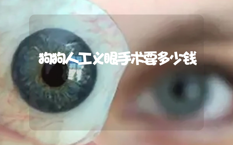 狗狗人工义眼手术要多少钱