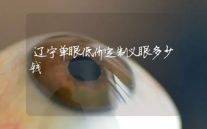 辽宁单眼低价定制义眼多少钱