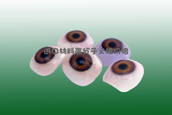 进口材料高分子义眼价格